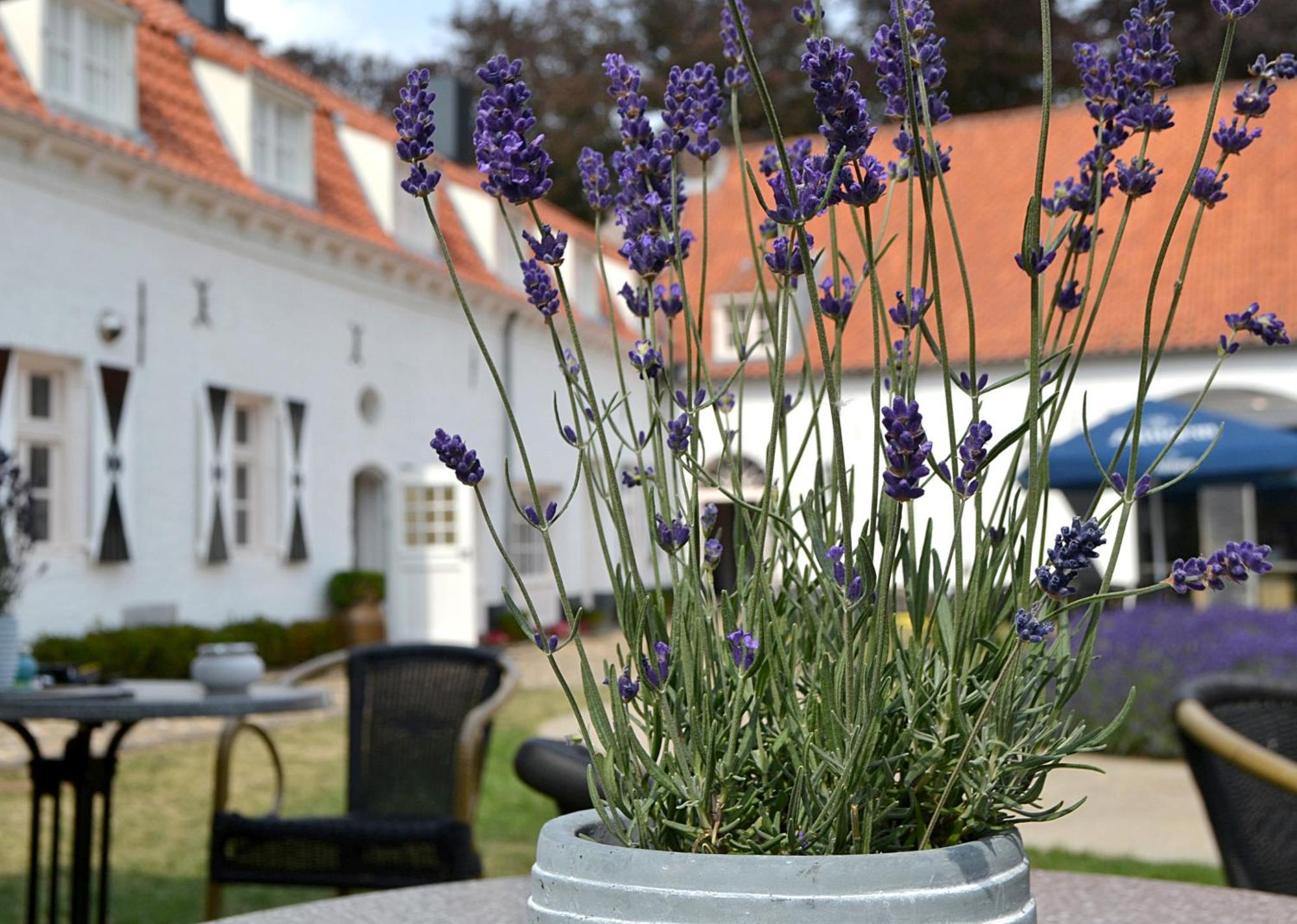 Bed and Breakfast Kasteel Aldenghoor Хален Экстерьер фото